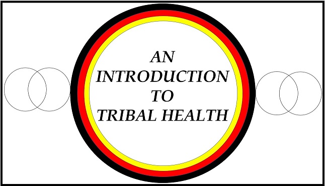 An Introduction to Tribal Health Banner